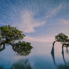 静かな退職コラムの画像