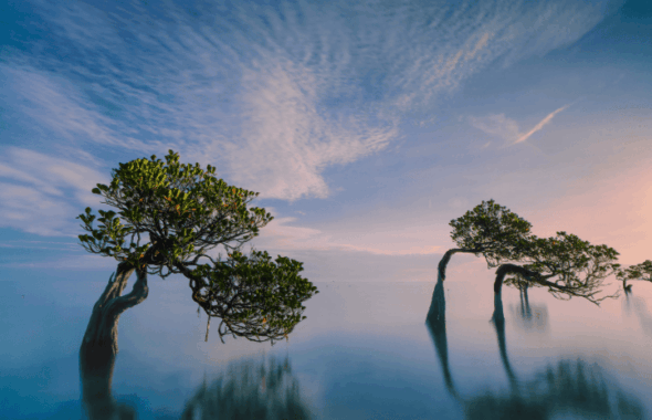 静かな退職コラムの画像